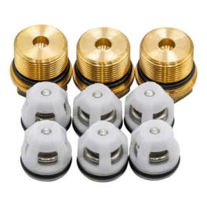 KIT 42762 Check Valves With Valve Caps